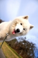 Artikelbild 0