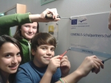 Artikelbild 0